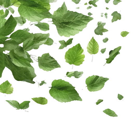 Feuillage