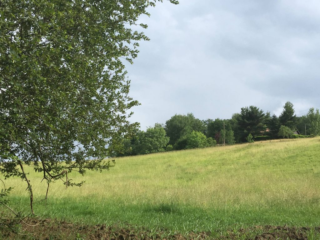 Les champs de la Maison Prouane, paysans glaciers à Arbus dans le Béarn proche de Pau