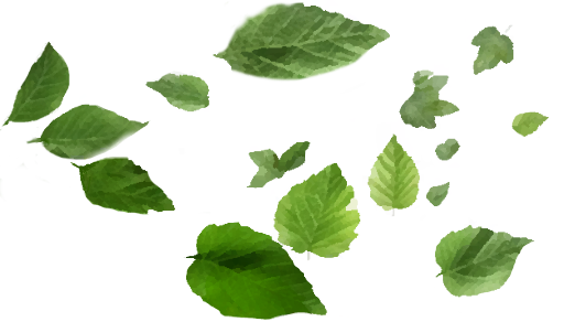 Feuillage