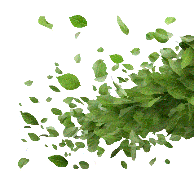 Feuillage