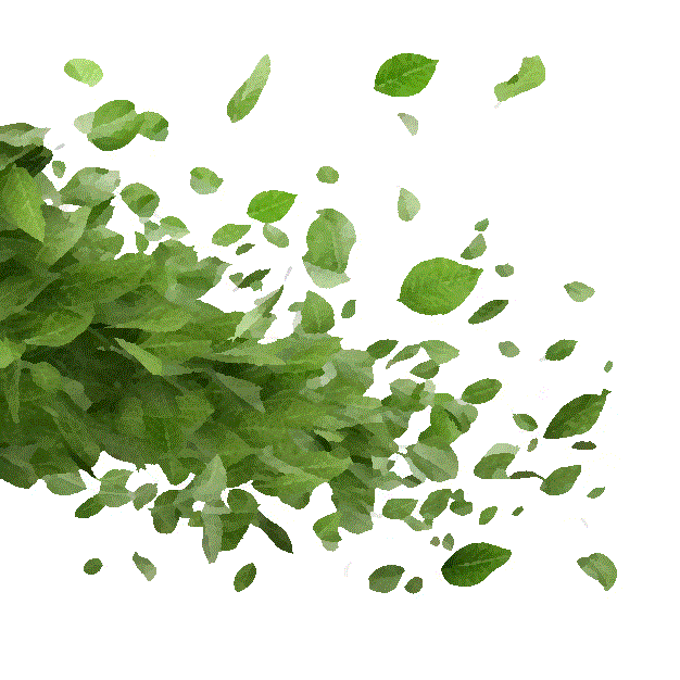 Feuillage